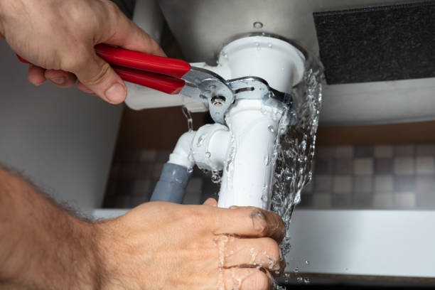 Best Basement water damage restoration  in Edwardsville, PA