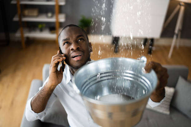 Best Professional water damage repair  in Edwardsville, PA