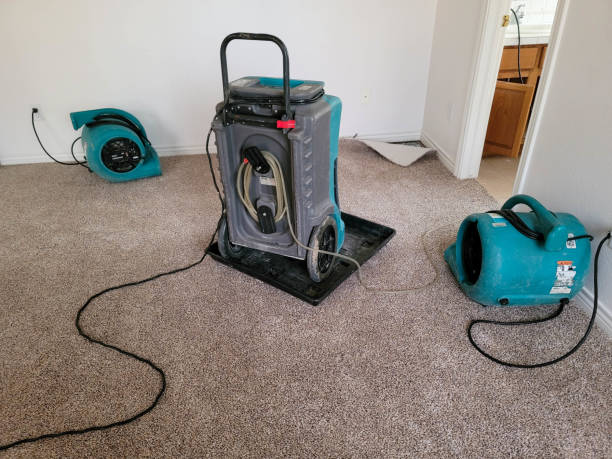 Best Emergency water damage restoration  in Edwardsville, PA