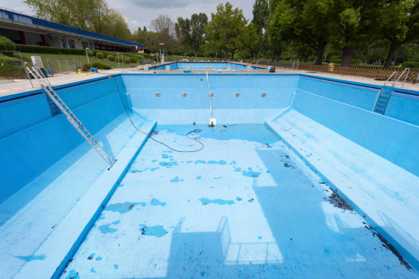 Best Local water damage restoration  in Edwardsville, PA