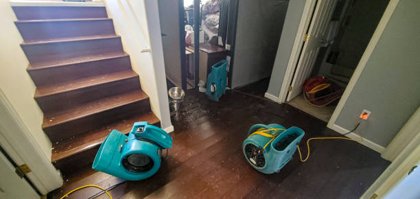 Trusted Edwardsville, PA Water damage restoration Experts
