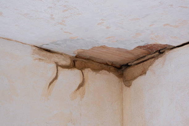 Best Flood damage cleanup  in Edwardsville, PA