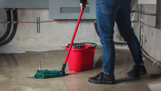 Best Carpet water damage restoration  in Edwardsville, PA