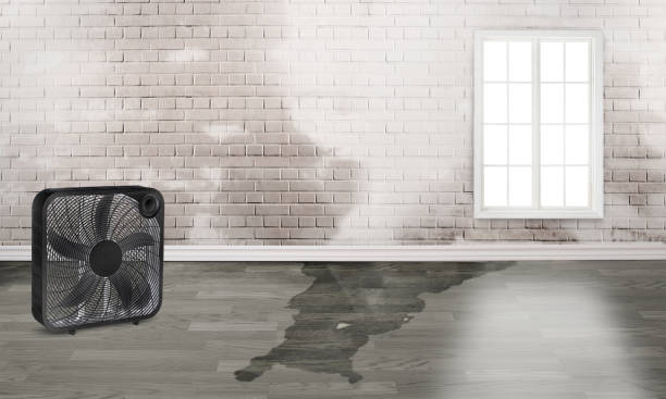 Best Commercial water damage restoration  in Edwardsville, PA