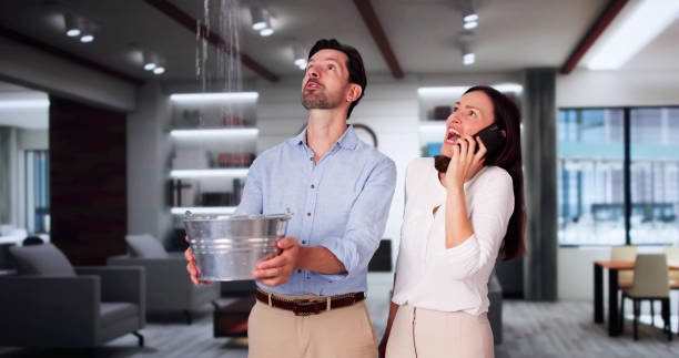 Best Mold removal after water damage  in Edwardsville, PA