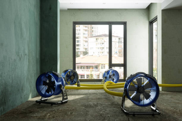 Best Commercial water damage restoration  in Edwardsville, PA