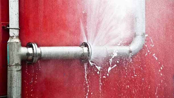 Best Flooded house restoration  in Edwardsville, PA