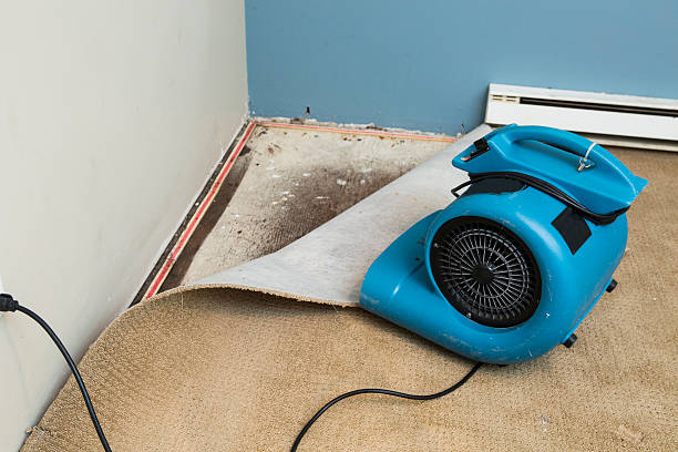 Best Sewage cleanup and water damage restoration  in Edwardsville, PA